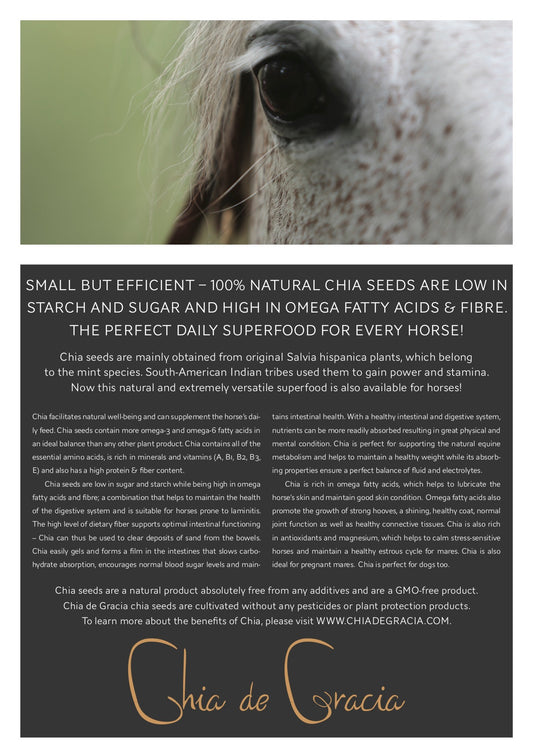 Chia Leaflet